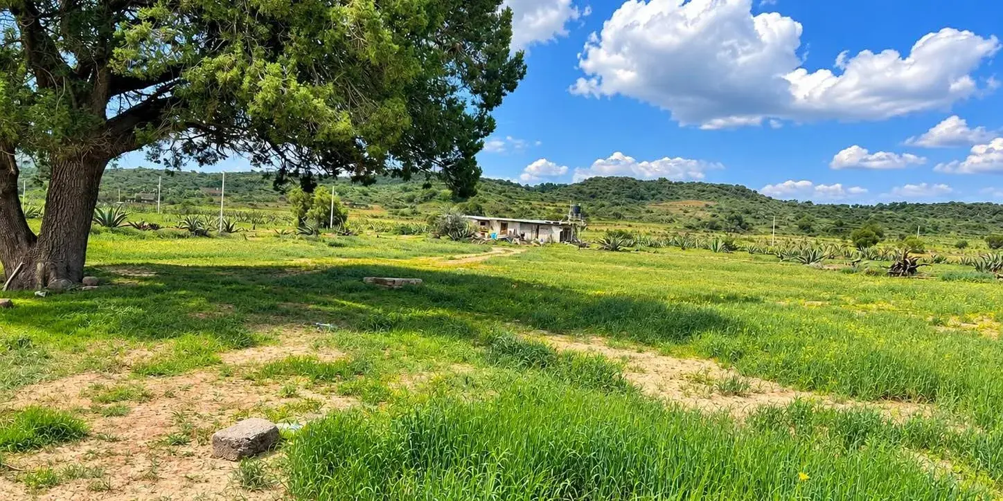Valle Real Pirámides